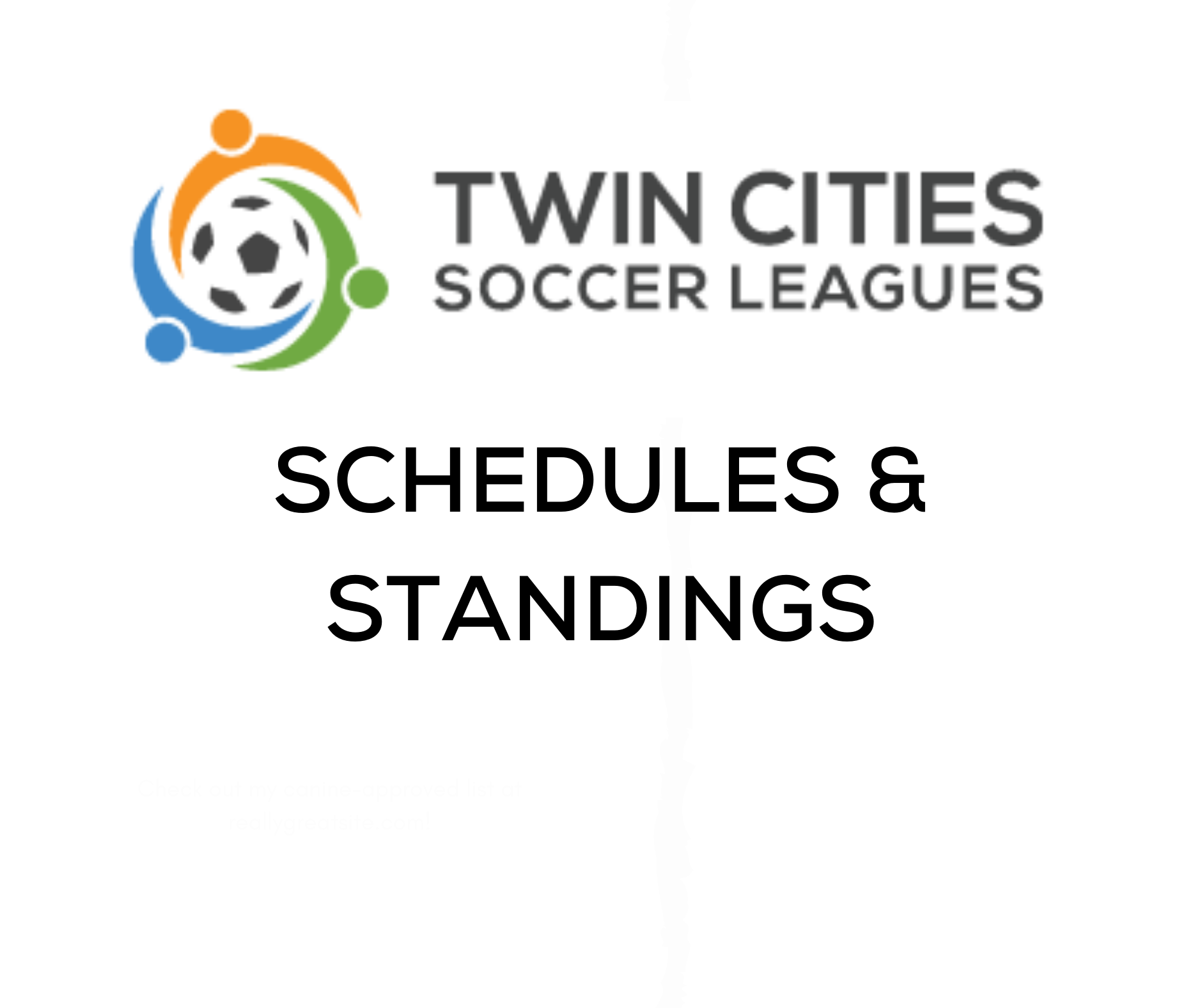 TCSL Schedule and Standings